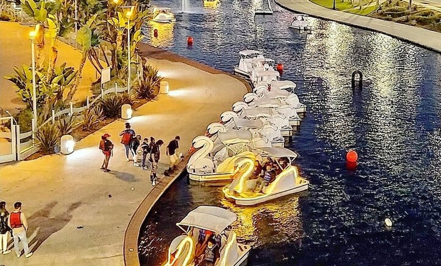 a group of Adventure Glass Big Bird Styles Platform Paddle Boat 