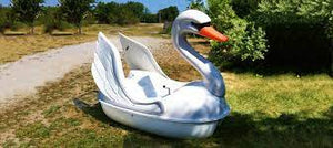 Adventure Glass Swan Classic 2 Person Paddle Boat on the ground