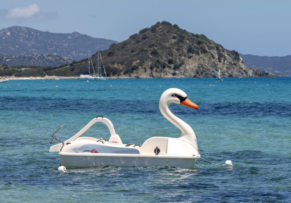 Martini Nautica Swan Pedal Boat