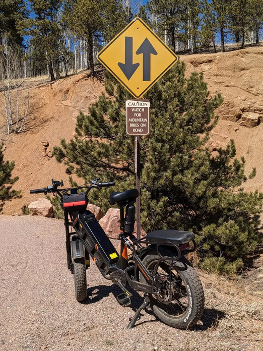 Eahora Juliet Electric Bike