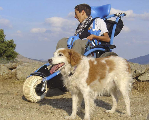 Vipamat Hippocampe - All Terrain