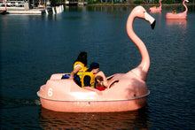 Load image into Gallery viewer, Adventure Glass Pink Flamingo Classic Paddle Boat