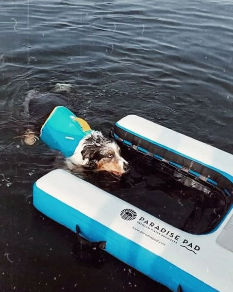 Paradise Pad Dog Water Ramp