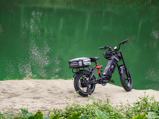 Eahora Juliet 2 Electric Bike