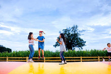 Load image into Gallery viewer, Kangaroo Jumper Classic Land Bouncer