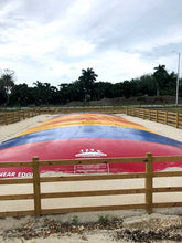 Load image into Gallery viewer, Kangaroo Jumper Classic Land Bouncer