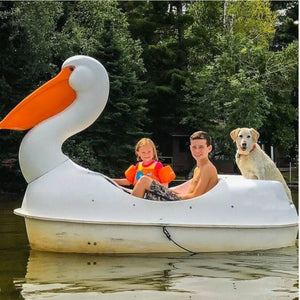 Adventure Glass Pelican Classic 2 Person Paddle Boat with two kids and dog on board