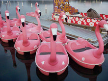 Load image into Gallery viewer, a group of Adventure Glass Pink Flamingo Classic 2 Person Paddle Boat 