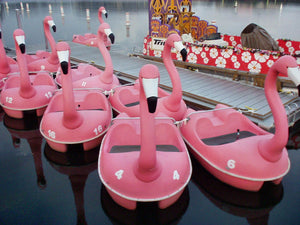 a group of Adventure Glass Pink Flamingo Classic 2 Person Paddle Boat 