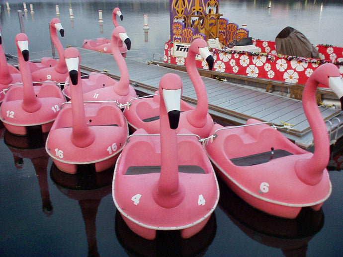 group of Adventure Glass Pink Flamingo Classic Paddle Boat