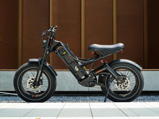 Eahora Romeo 2 Electric Bike