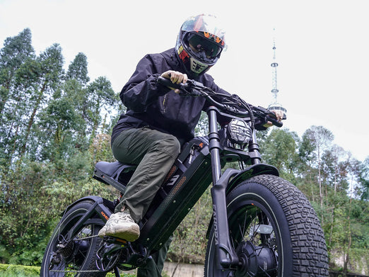 Eahora Romeo 2 Electric Bike