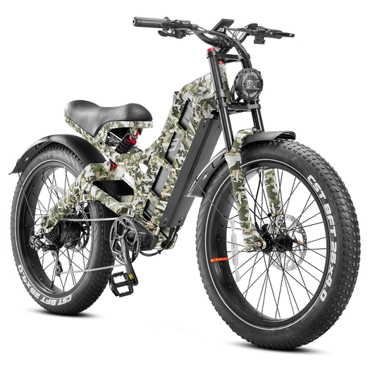Eahora Romeo Pro Electric Bike
