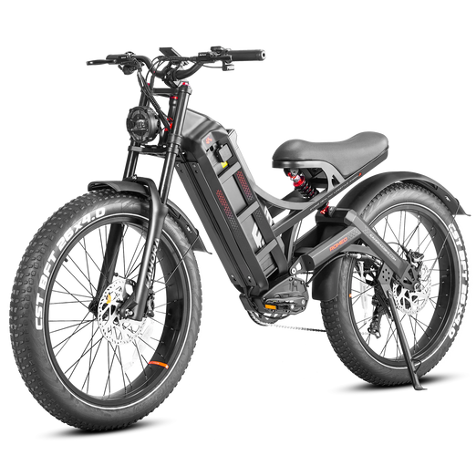Eahora Romeo Pro Electric Bike