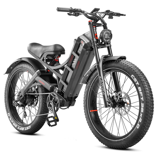 Eahora Romeo Pro Electric Bike