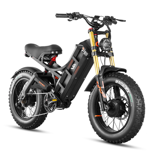 Eahora Romeo 2 Electric Bike