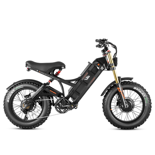 Eahora Romeo 2 Electric Bike
