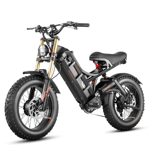 Eahora Romeo 2 Electric Bike