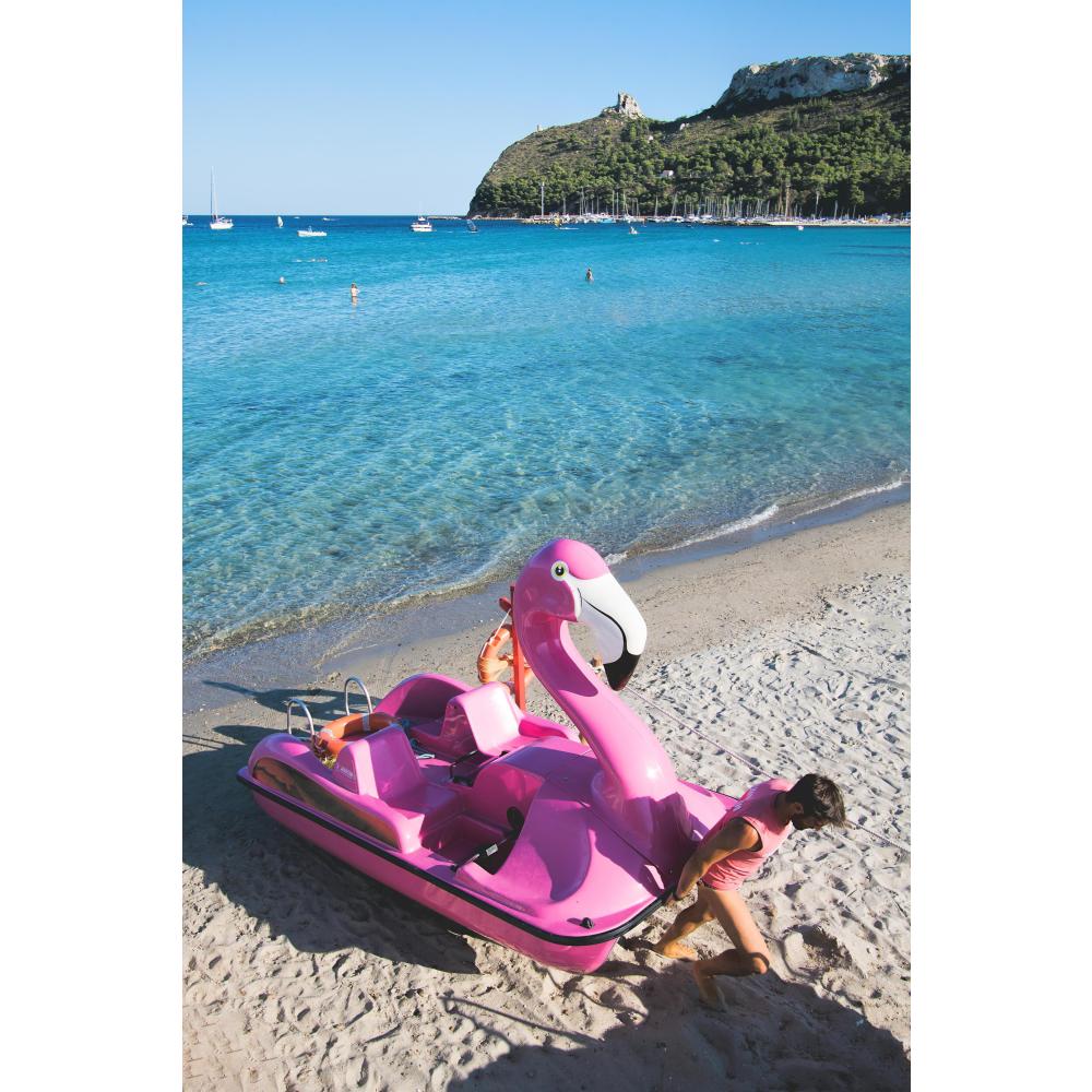 Martini Nautica Flamingo Exotic Pedal Boat