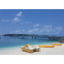 Load image into Gallery viewer, Martini Nautica Sunny Mouse 3 Person Pedal Boat