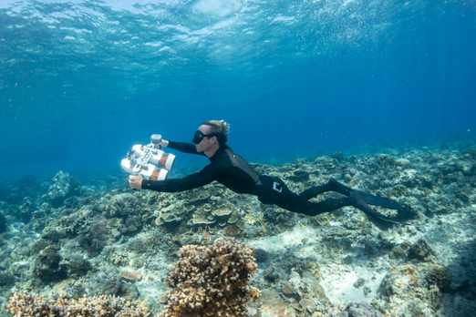 Diver underwater with the Sublue WhiteShark Tini Underwater Scooter Double