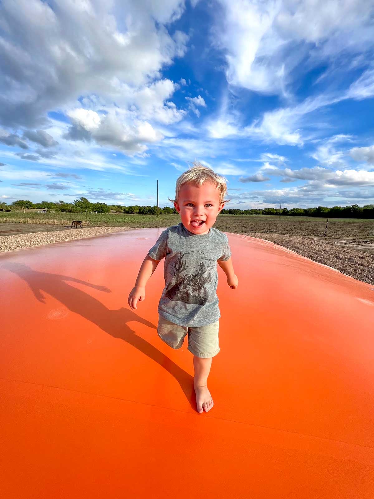 Kangaroo Jumper Classic Land Bouncer