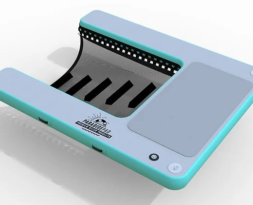 ParadisePad Dog Water Ramp