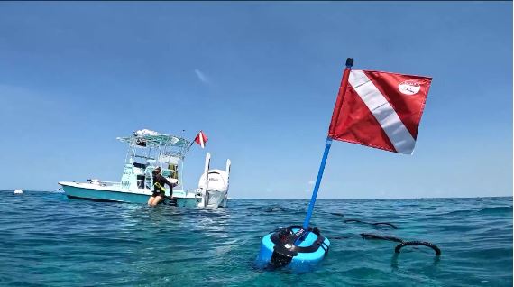 BLU3 Nomad Duo Package 