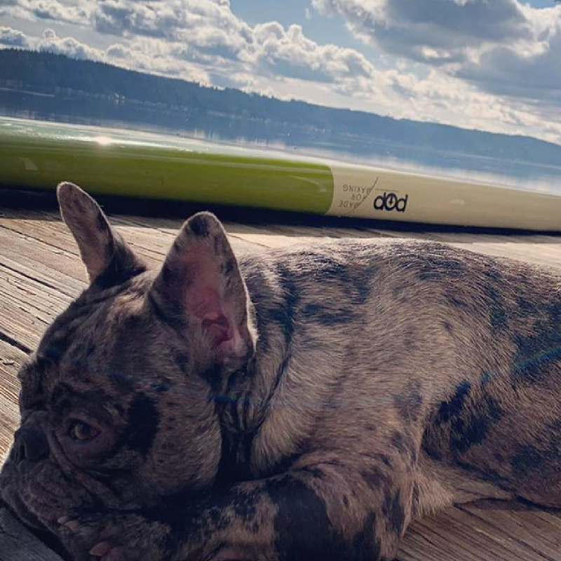 POP Board Co 12'0" Americana Green/Cream/Orange Fiberglass Paddle Board