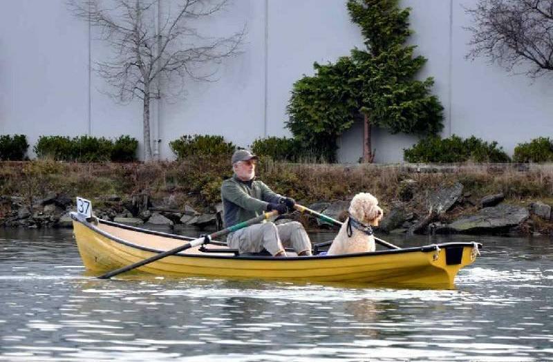 Row boat - Man with his dog rowing the Little River Marine Heritage 15 Classic Single Rowboat yellow