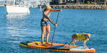 Load image into Gallery viewer, 2023 Jimmy Styks Mutt 10&#39;4&quot; Inflatable Sup