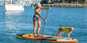 2023 Jimmy Styks Mutt 10'4" Inflatable Sup