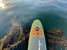 Load image into Gallery viewer, POP Board Co 11&#39;0&quot; Huckleberry Mint Fiberglass Paddle Board