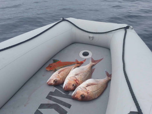 Fishes on the Takacat T340S Inflatable Boat