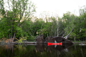 Man canoeing with the Merrimack Canoes Baboosic - 14' Solo Canoe Acadia red