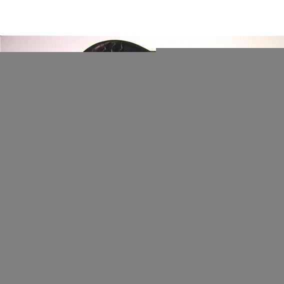 Banana Boat - Island Hopper 6 Passenger Whale Ride Banana Boat 18'  PVC-6-WR