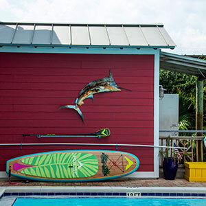 A Pulse The Flamingo 10'6" Tradisional SUP on a wall