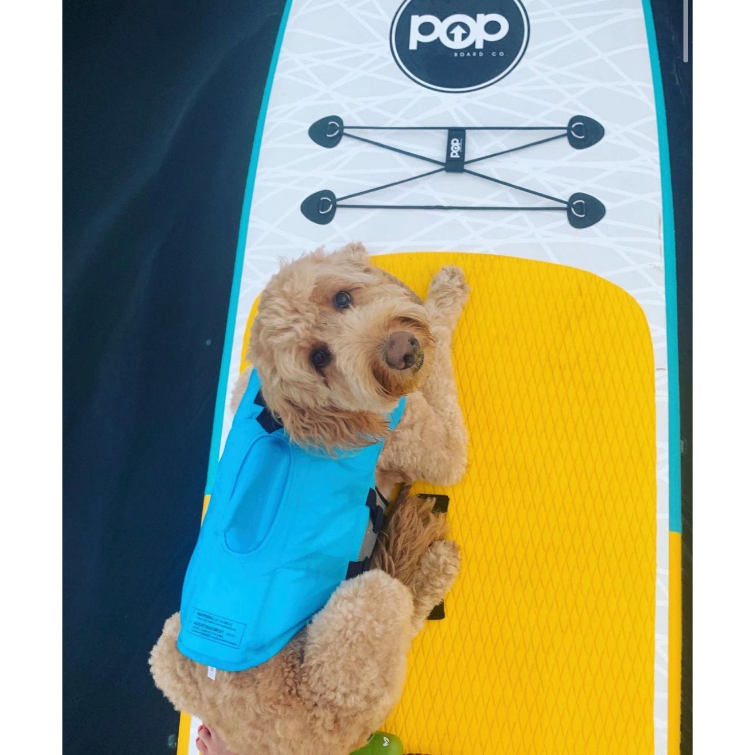 Inflatable Paddle Board - POP Board Co 11'0" The POP Up Yellow/ Turquoise