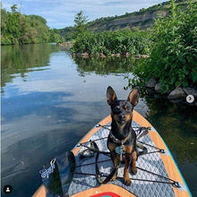 Load image into Gallery viewer, Yolo 2021 10&#39;6 ORIGINAL - Dogwood Reef dog on board