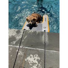 Load image into Gallery viewer, Platform - Solstice Inflatable Pup Plank Platform Extra Large 33248