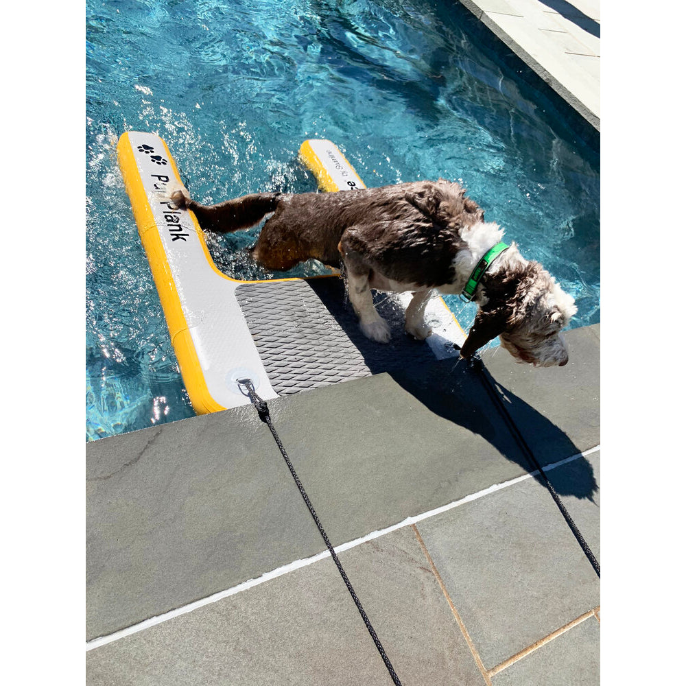 Platform - Solstice Inflatable Pup Plank Platform Medium 33424