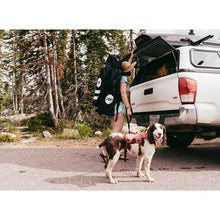 Load image into Gallery viewer, A woman and a dog with the POP Board Co 11&#39;0 Yacht Hopper Turq/Pink/Ylw Stand Up Paddle Board
