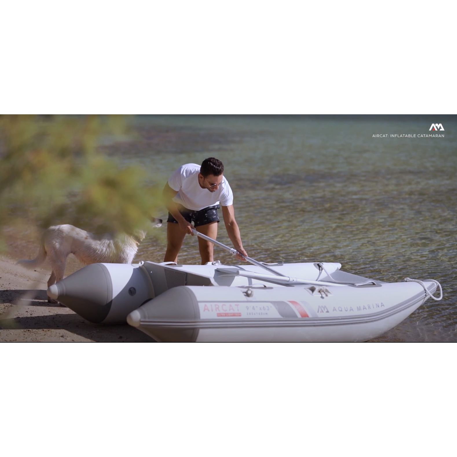 Boat - MAn with a dog setting up the Aqua Marina The Aircat Catamaran BT-AC335 on the  shore